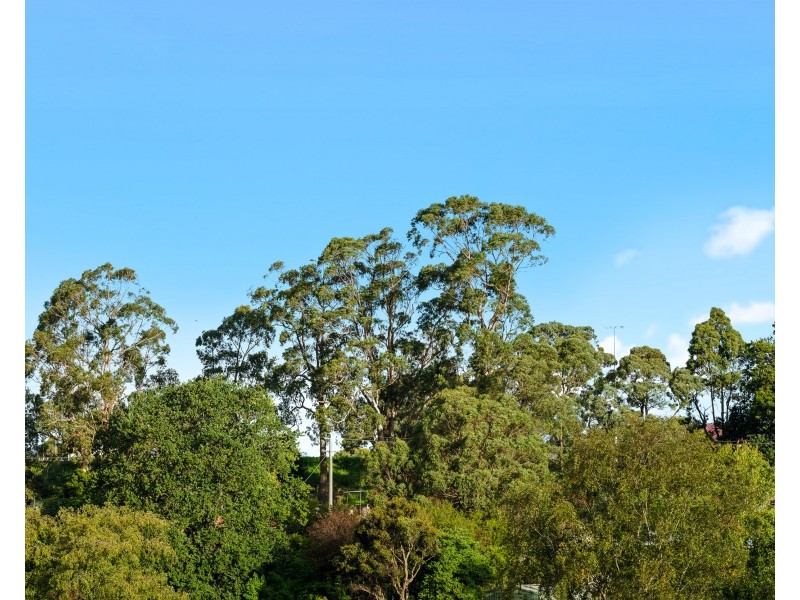 9 Bertram Street, Drouin VIC 3818