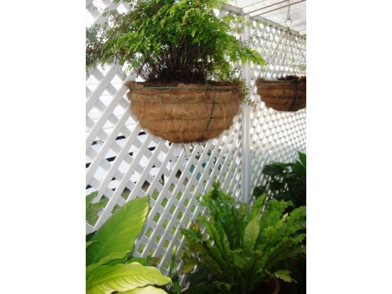 Unit 50/72 Mark Road West, Caloundra QLD 4551