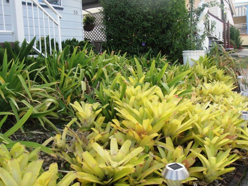 Unit 50/72 Mark Road West, Caloundra QLD 4551