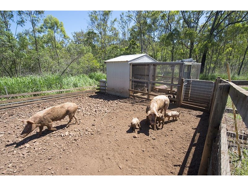 66 Luana Crescent, Burua QLD 4680