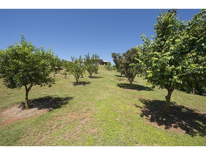 66 Luana Crescent, Burua QLD 4680