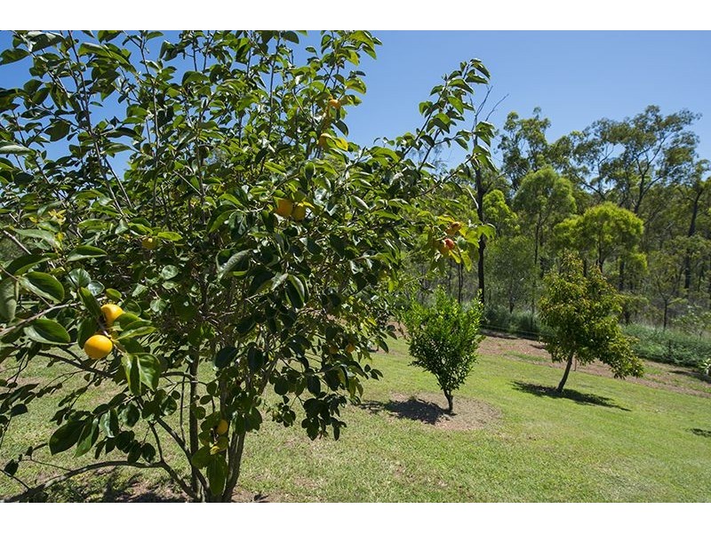 66 Luana Crescent, Burua QLD 4680