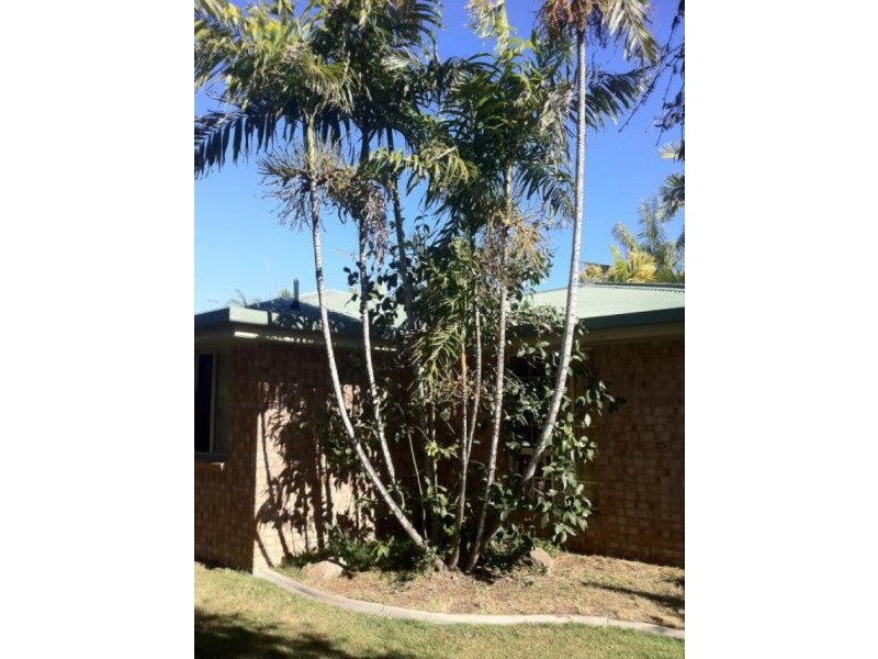 3 Lagoon Court, Clinton QLD 4680