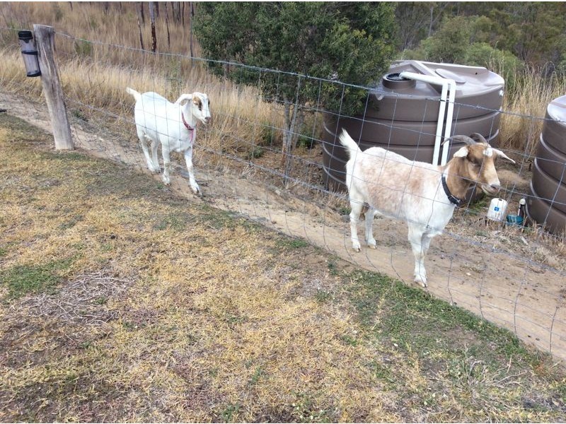 LOT 25 Facing Drive, O’connell QLD 4680