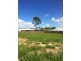 14 Stockbridge Court, Calliope QLD 4680