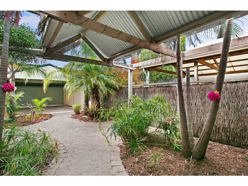 45 Fisher Street, Norwood SA 5067