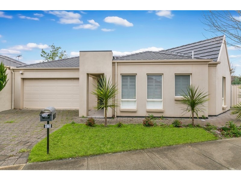 11 Mortimer Street, Kurralta Park SA 5037