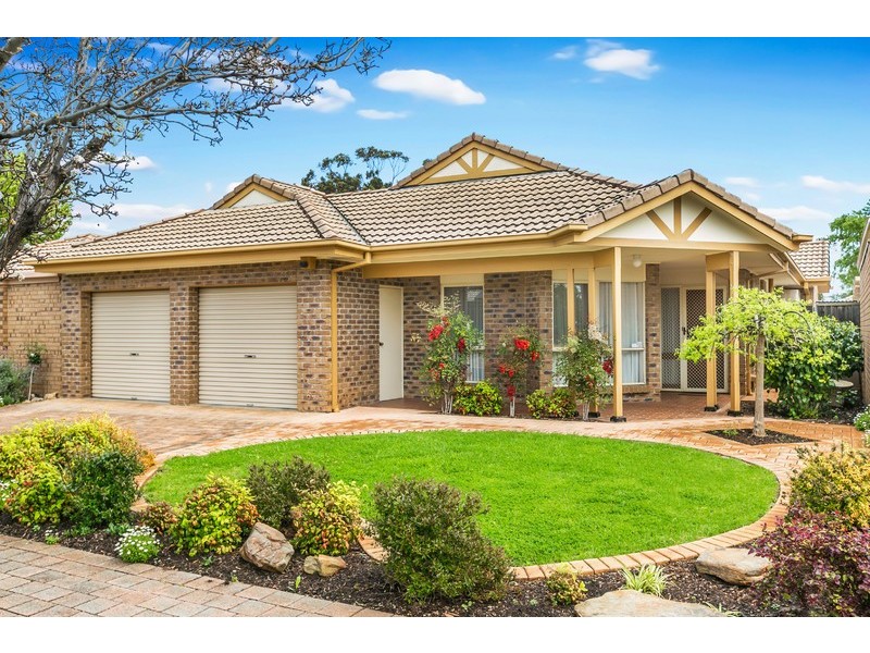 13 Peppertree Grove, Oaklands Park SA 5046