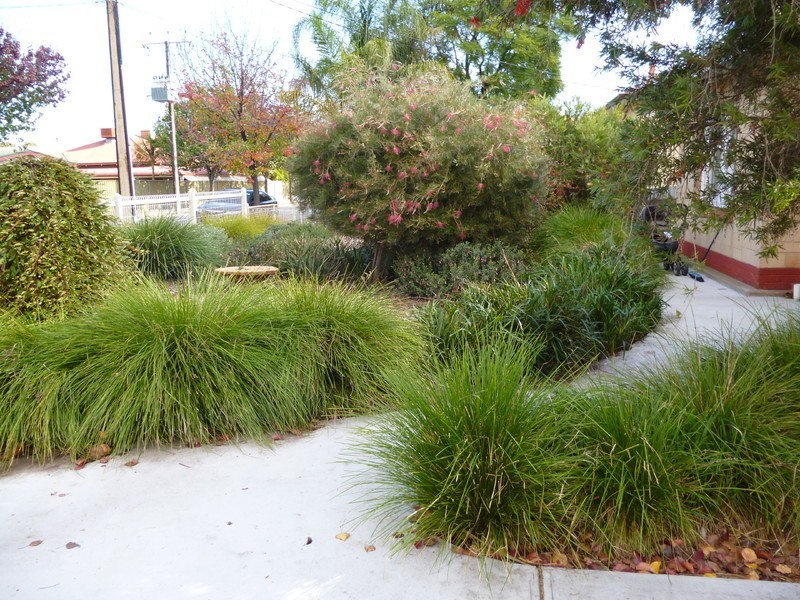 12 Hawson Avenue, North Plympton SA 5037