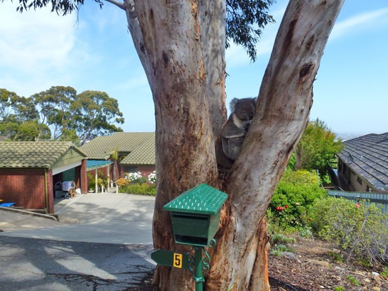 5 Seaview Crescent, Panorama SA 5041