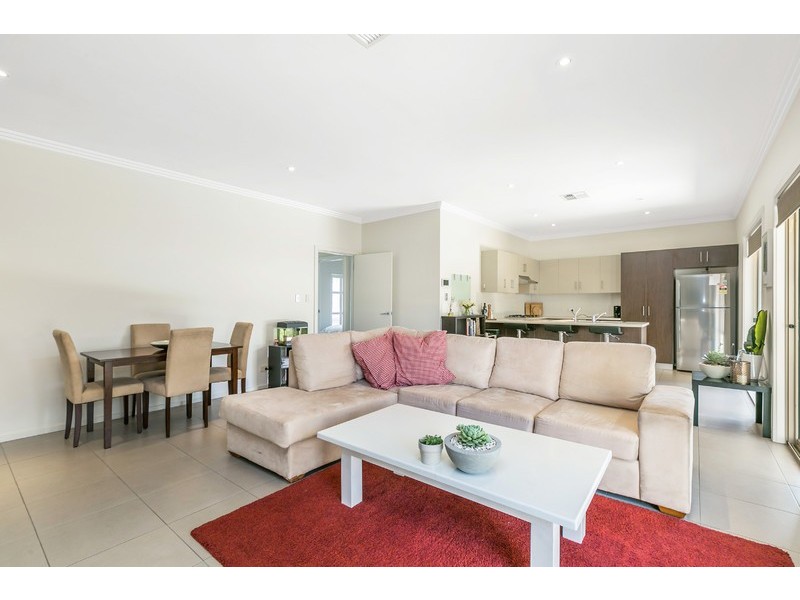 55 Carlisle Street, Camden Park SA 5038
