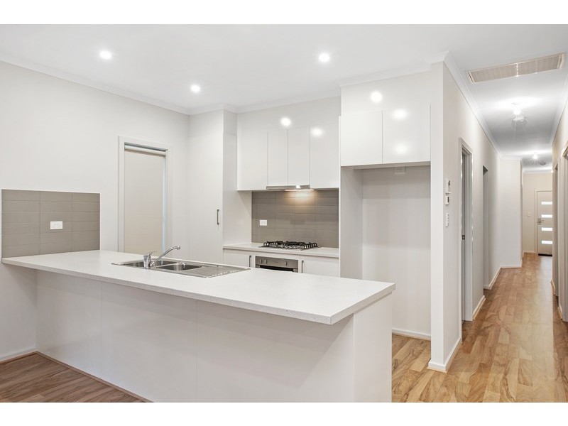 31 Aldridge Avenue, Plympton Park SA 5038
