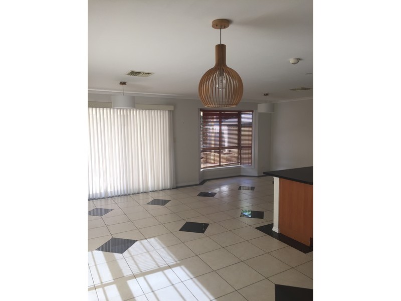 16 Thirza Avenue, Mitchell Park SA 5043