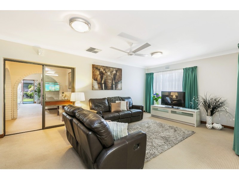 20 Curzon Street, Camden Park SA 5038