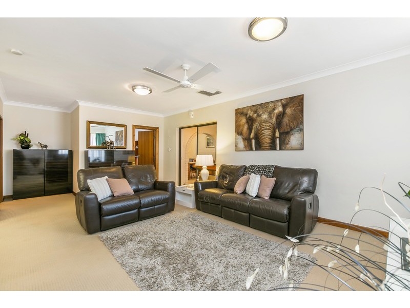 20 Curzon Street, Camden Park SA 5038