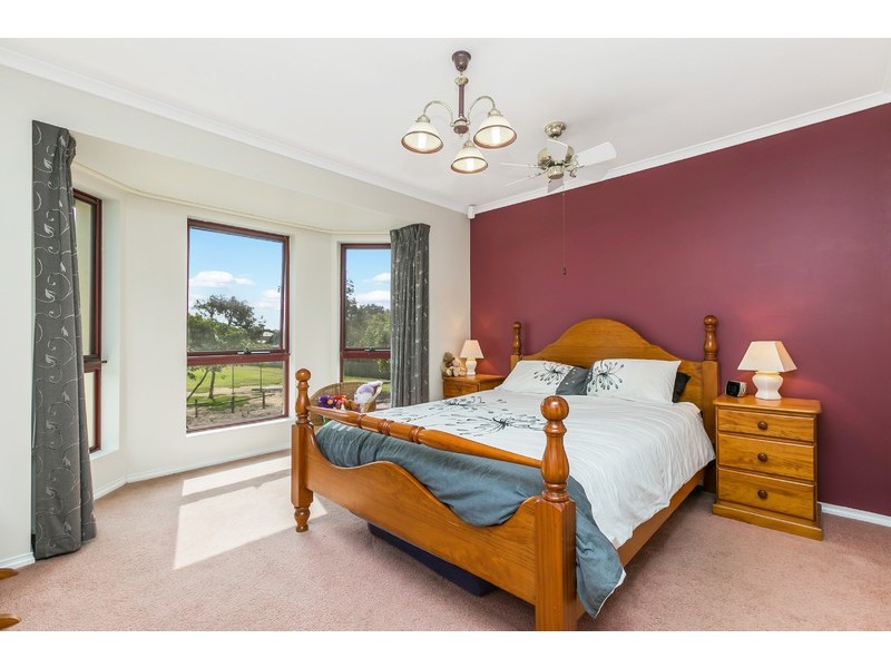 29 David Avenue, Mitchell Park SA 5043