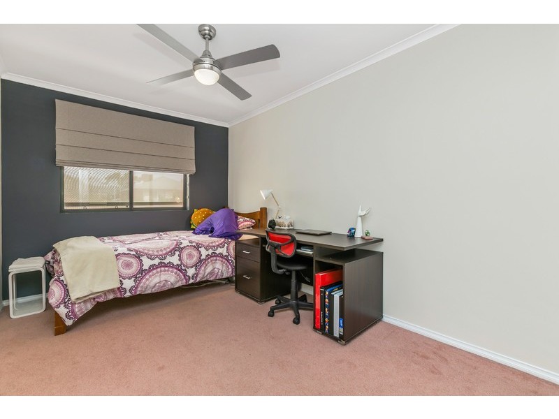 29 David Avenue, Mitchell Park SA 5043