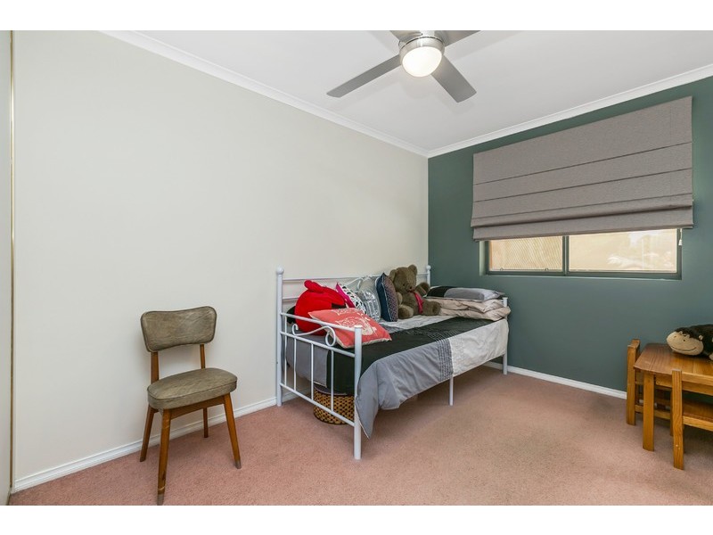 29 David Avenue, Mitchell Park SA 5043