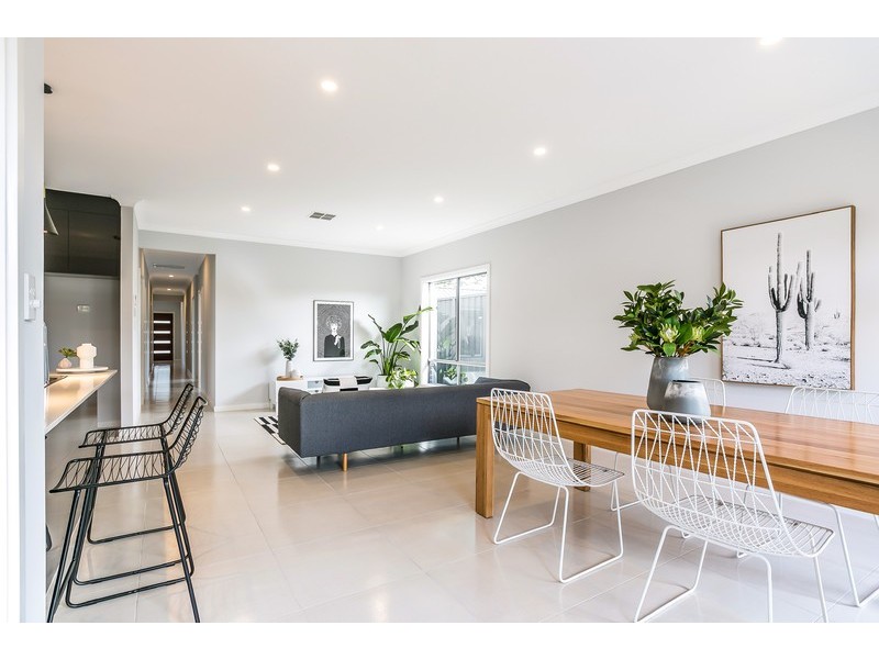 17 Dawson Avenue, South Plympton SA 5038