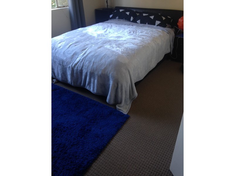 57 Barker Avenue, South Plympton SA 5038