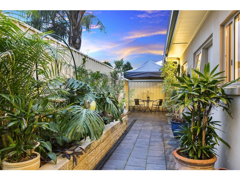 52 Anstey Crescent, Kurralta Park SA 5037