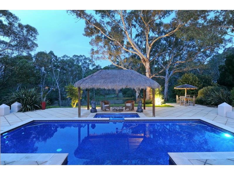 31 Skylark Close, Flagstaff Hill SA 5159