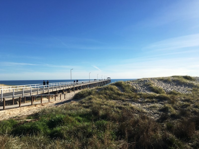 14/582 Seaview Road, Grange SA 5022