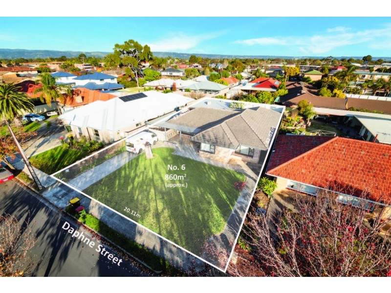 6 Daphne Street, Kurralta Park SA 5037