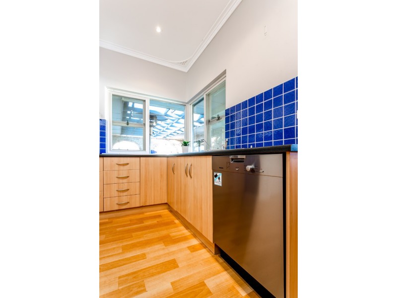 6 Daphne Street, Kurralta Park SA 5037