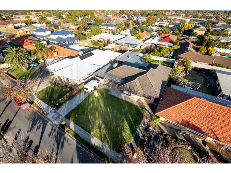 6 Daphne Street, Kurralta Park SA 5037