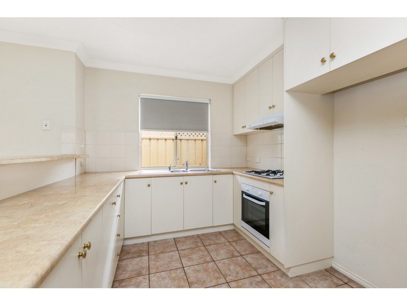 3A Radstock Street, Morphettville SA 5043