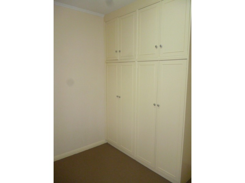 53 Mooringe Avenue, Plympton SA 5038