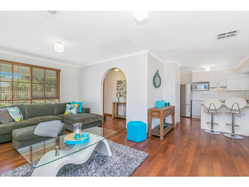 2a Raymond Grove, Warradale SA 5046