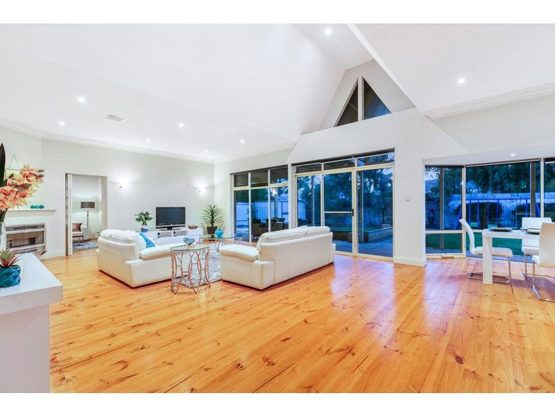 31 Melville Street, South Plympton SA 5038