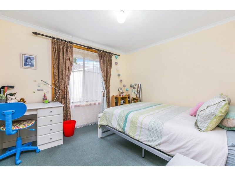 5 Falco Court, Flagstaff Hill SA 5159