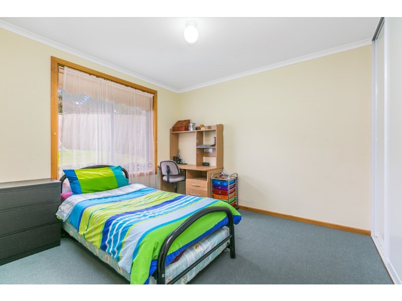 5 Falco Court, Flagstaff Hill SA 5159