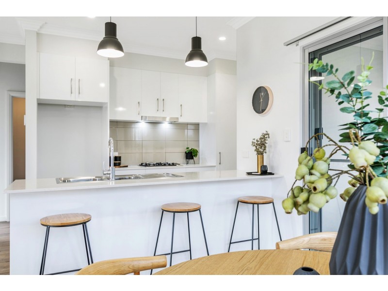 36 Aldridge Avenue, Plympton Park SA 5038