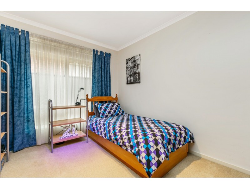 6 Mills Street, Mitchell Park SA 5043