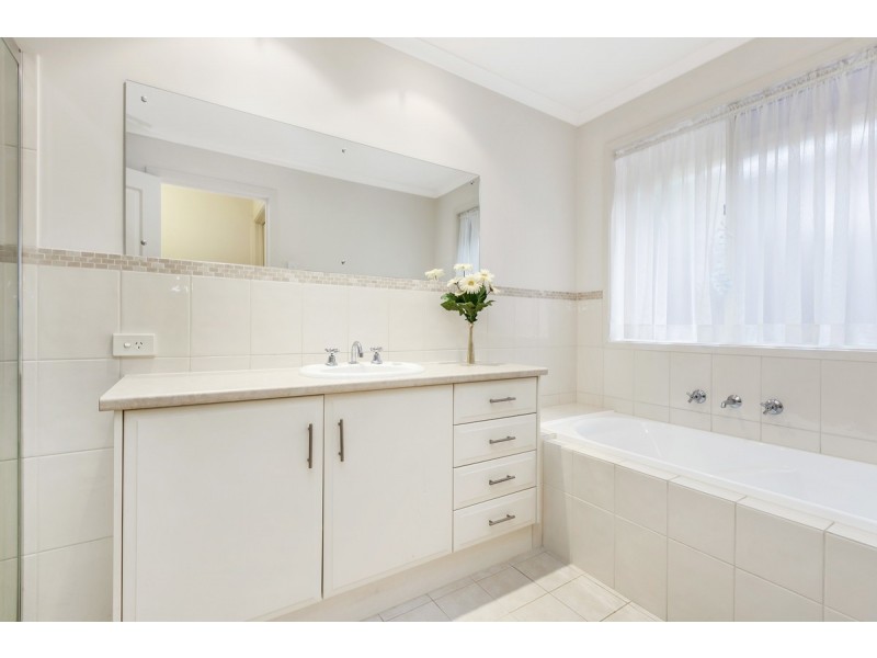 6 Mills Street, Mitchell Park SA 5043