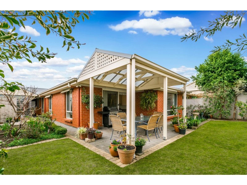 6 Mills Street, Mitchell Park SA 5043