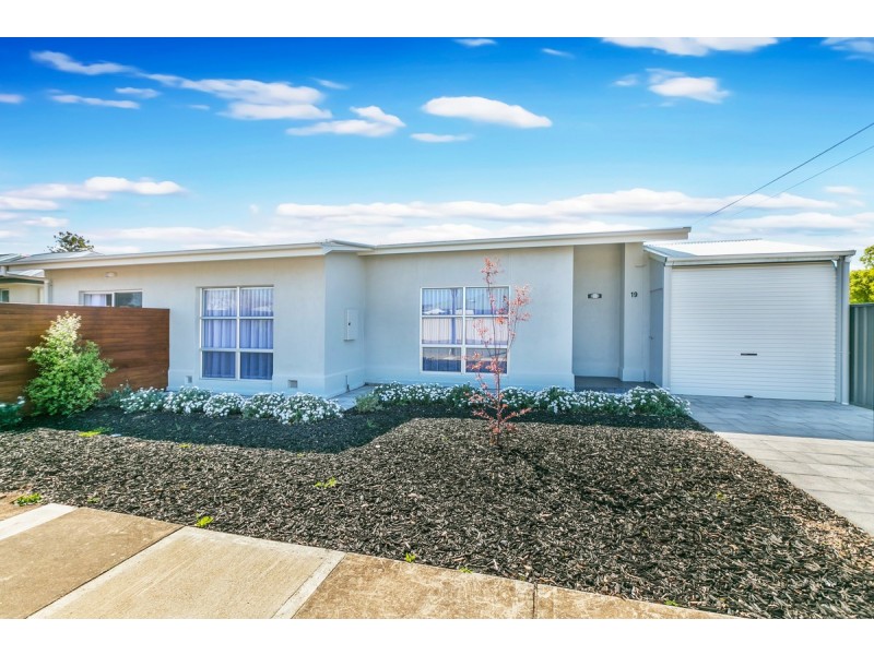 19 Nilpena Avenue, Park Holme SA 5043