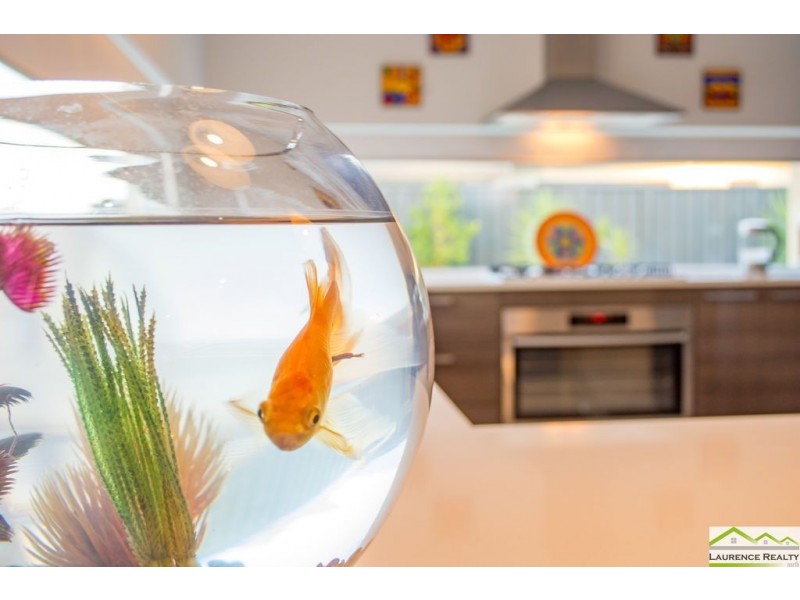 5 Daytona Road, Yanchep WA 6035