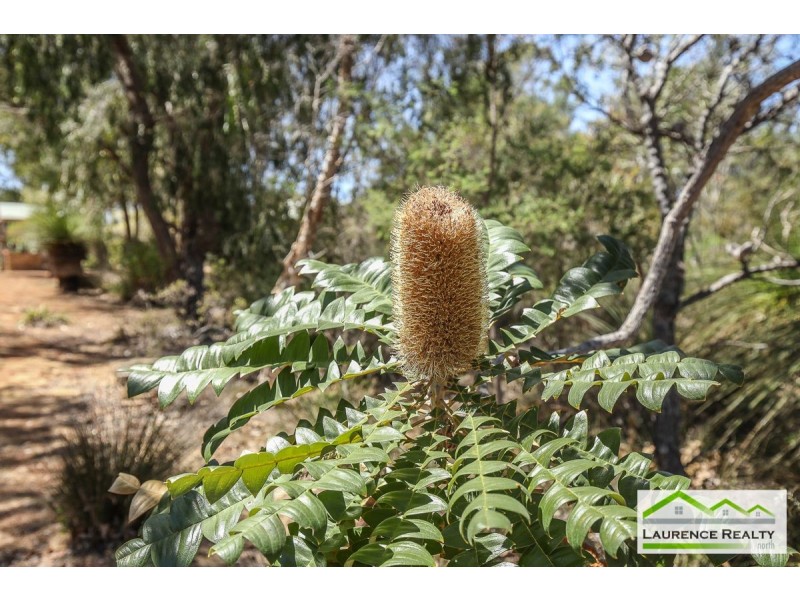 90 Birdwood Drive, Woodridge WA 6041