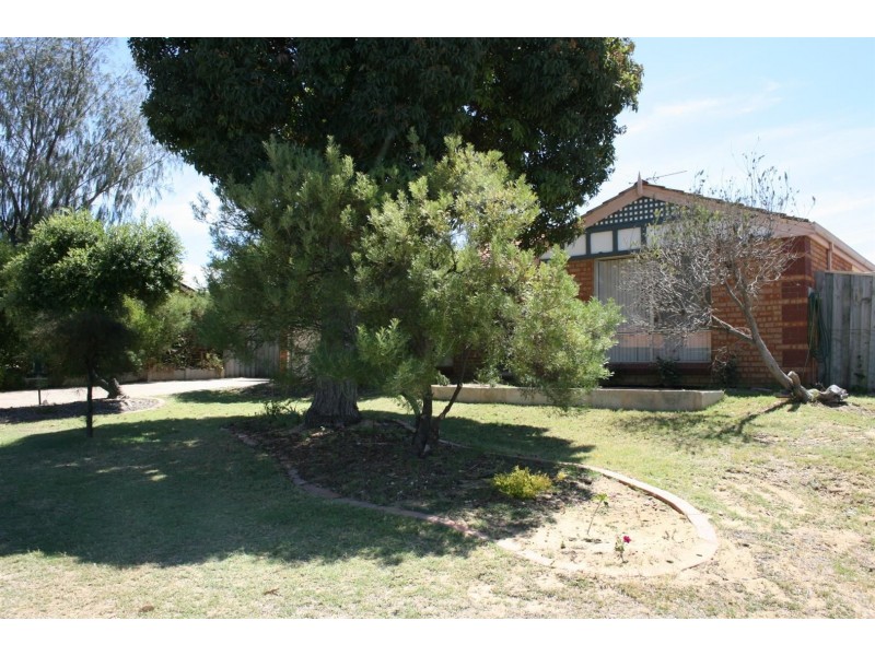 12 Throssell Place, Clarkson WA 6030