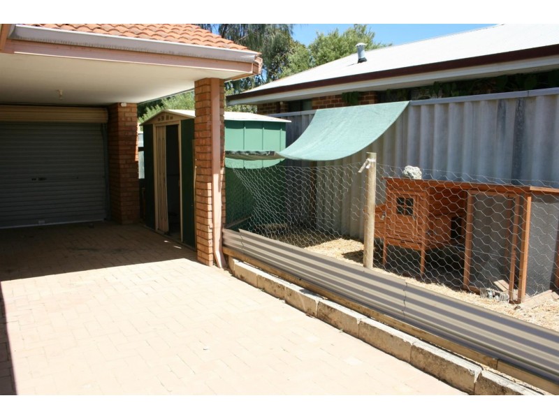 12 Throssell Place, Clarkson WA 6030