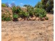 66 Jubilee Street, Toodyay WA 6566