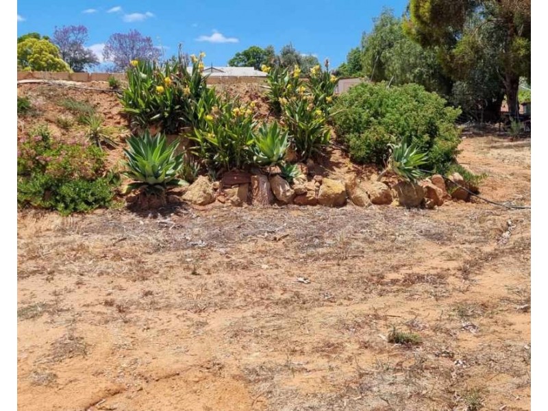 66 Jubilee Street, Toodyay WA 6566