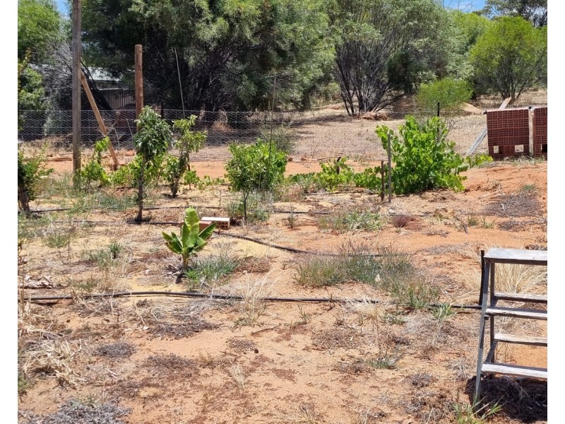 66 Jubilee Street, Toodyay WA 6566