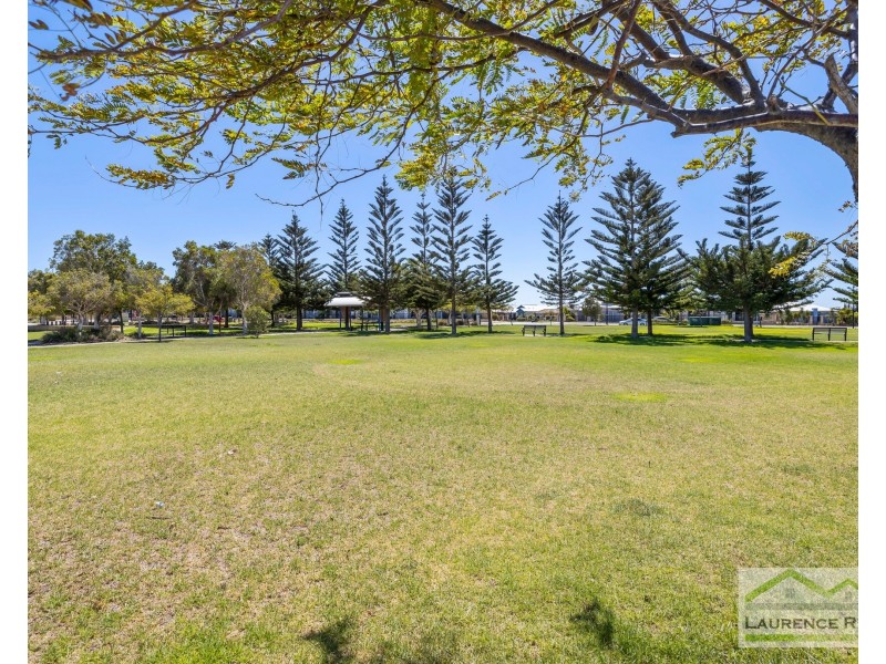 25 Carmathen Avenue, Butler WA 6036