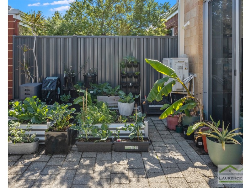 10 Benson Loop, Alkimos WA 6038